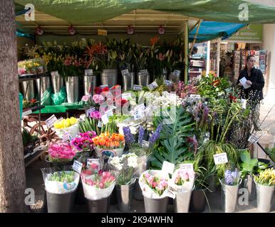Flower stall, Berwick Street Market, Soho, London, UK Stock Photo