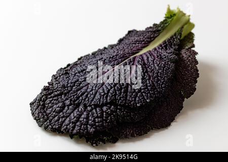 Red mustard leaves on a white background Stock Photo