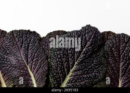 Red mustard leaves on a white background Stock Photo