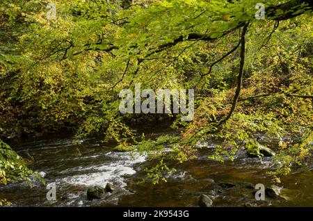 The river Lowther flowing over rocks below Low Gardens Bridge, Lowther, Penrith, Cumbria, UK Stock Photo