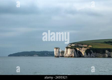 Old Harry Rocks, Handfast Point, Dorset, England, UK, from the north, looking down to Swanage Bay and Durlston Head Stock Photo
