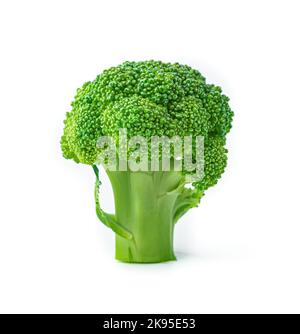 Fresh green broccoli isolated on a white background. Stock Photo