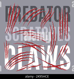 Realistic Predators Claw Scratches. Scratch Claw Animal and Illustration Shred From Claw Stock Vector