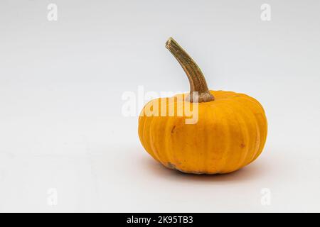 Mini pumpkin isolated on a white background. Stock Photo