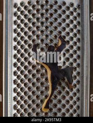 A piece of grated aubergine pretends to climb a grater by doing sport climbing Stock Photo