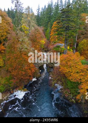 Aerial view of autumn colours surrounding  Black Linn Falls on River Braan at The Hermitage in Perth and Kinross, Scotland, UK Stock Photo