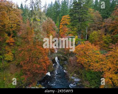 Aerial view of autumn colours surrounding  Black Linn Falls on River Braan at The Hermitage in Perth and Kinross, Scotland, UK Stock Photo