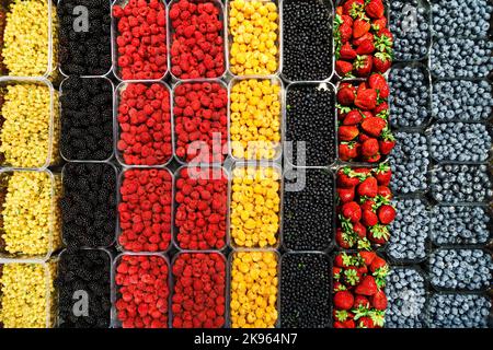 Colourful mix of different fresh berries at market. Raspberries, strawberries, blueberries, blackberries, whitecurrants and bilberries flatlay. Stock Photo