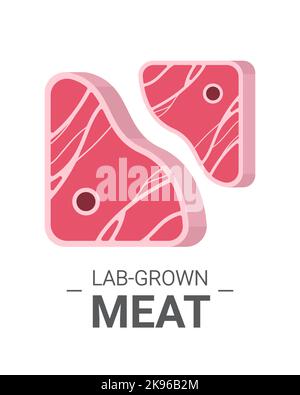 cultured raw red meat steak made from animal cells artificial lab grown meat production concept vertical Stock Vector