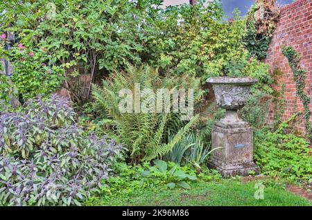 Densely planted corner of Gilbert Whites Hampshire garden with stone urn and brick wall Stock Photo
