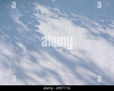 Lacy shadows from trees on white wall. Abstract background with concrete texture. Stock Photo