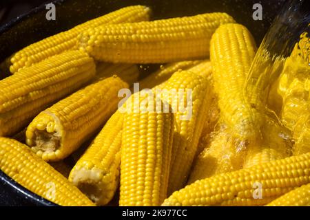 Process of cooking fresh mature corn. Sale of freshly boiled hot corn at fair. Natural yellow background. Close-up. Selective focus. Stock Photo