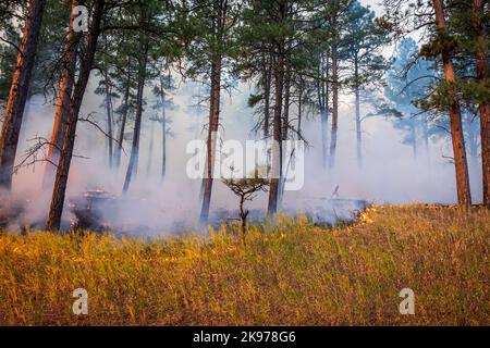 Prescribed burn at Devil's Tower, Wyoming, USA Stock Photo