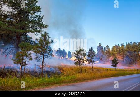 Prescribed burn at Devil's Tower, Wyoming, USA Stock Photo