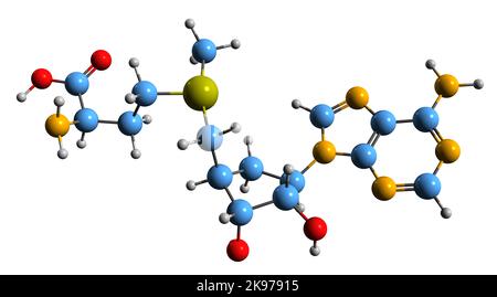 3D image of S-Adenosyl methionine skeletal formula - molecular chemical structure of  cosubstrate SAMe isolated on white background Stock Photo