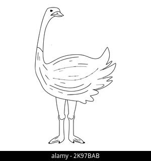 Adorable ostrich. Cute bird in hand drawn doodle style. Vector Illustration. Stock Vector