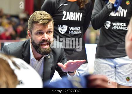 Brno, Czech Republic. 26th Oct, 2022. Coach of Brno Viktor Prusa in the women's EuroCup group K match Zabiny Brno vs Montpellier in Brno, Czech Republic, October 26, 2022. Credit: Vaclav Salek/CTK Photo/Alamy Live News Stock Photo