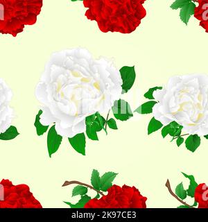 Seamless texture flowers red and white roses stem  vintage vector illustration editable hand draw Stock Vector