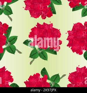 Seamless texture flowers red rhododendrons twig with leaves and flowers vintage vector illustration editable hand draw Stock Vector