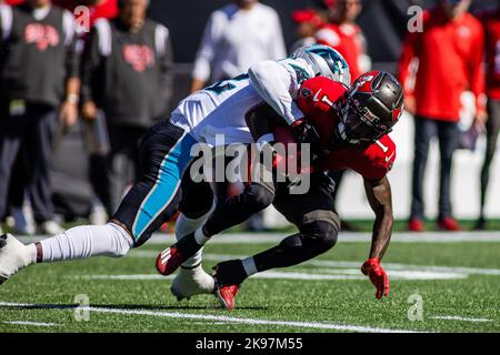 Carolina Panthers safety Sam Franklin Jr. (42) celebrates during