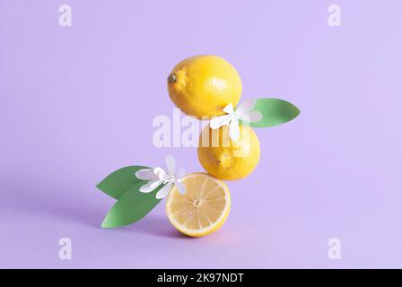 Creative composition of lemons on a pastel purple background Stock Photo