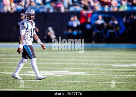 Charlotte, NC, USA. 23rd Oct, 2022. Carolina Panthers quarterback PJ Walker (11) during the second quarter of the NFL matchup in Charlotte, NC. (Scott Kinser/Cal Sport Media). Credit: csm/Alamy Live News Stock Photo