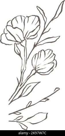 Magnolia flower line vector logo elegant wedding delicate floral nature wildflower  Stock Vector