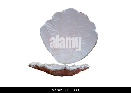 decorative open large seashell, isolated on a white background Stock Photo