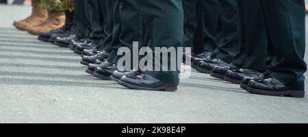 A group of men standing at attention in green suites on parade. The men are wearing military dress uniforms. The footwear is black shiny boots. Stock Photo