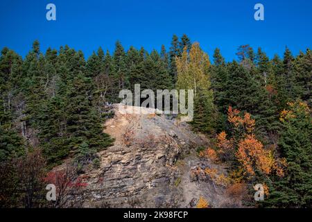A rocky cliff with tall green colored trees at the top of the mountain against a blue sky. The rock face is made of shale. The trees are orange color. Stock Photo