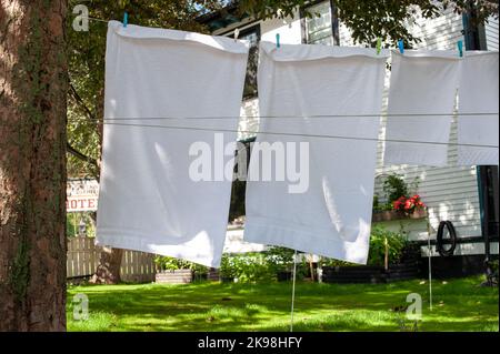 A clothesline of white linens hangs in the yard. The large trees and rich green leaves are in the background. The white towels and sheets are moving Stock Photo