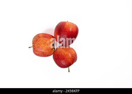 Three apples on a white background. Three sweet red apples on a seamless white background Stock Photo