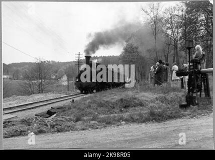The last narrow -gauge steam -drawn train passes the booms at Överum's mansion on 10/5 1964 on the line Åtvidaberg - Västervik. Stock Photo