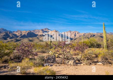 An overlooking view of Tucson, Arizona Stock Photo