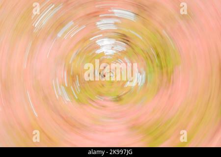 Spinning pattern of natural fall colors in pink and green circles with light trails Stock Photo