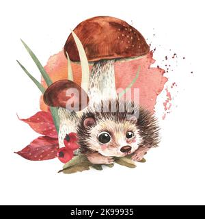 cute hedgehog on the background of mushrooms, red berries, grass. Watercolor illustration. Stock Photo