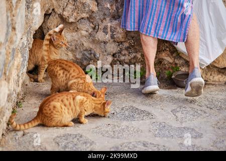Port town Ibiza  Balearic islands, Spain Mediterranean Sea, Buildings in the old town and wall of Dalt Vila a local feeds the stray cats Stock Photo