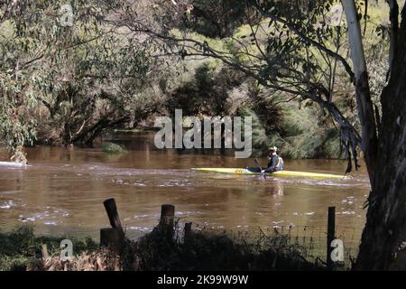 A protected competitor driving a boat on a river Stock Photo