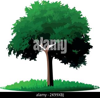 isolated tree silhouette on white background. Vector illustration Stock Vector