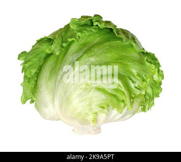 Iceberg lettuce, or crisphead, isolated, front view, on white background. Fresh, light green salad head, sometimes also called cabbage lettuce.