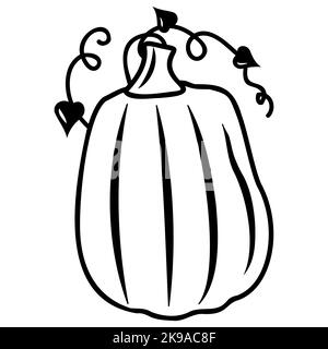 Autumn vegetable pumpkin, black outline, vector isolated illustration in doodle style. Stock Vector