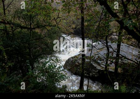 Small scottish highland river after a heavy rainfall Stock Photo