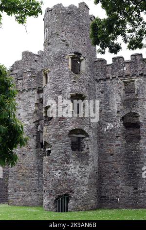 A walk around Laugharne Castle in Carmarthenshire, taking various shots of interest. Number 4032 Stock Photo