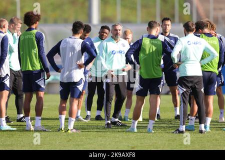 Schalke, Deutschland. 27th Oct, 2022. firo : 27.10.2022, football, soccer,  1.Bundesliga, first league season 2022/2023, FC Schalke 04 1st training  Thomas Reis Credit: dpa/Alamy Live News Stock Photo - Alamy