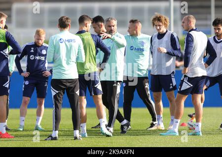 Schalke, Deutschland. 27th Oct, 2022. firo : 27.10.2022, football, soccer,  1.Bundesliga, first league season 2022/2023, FC Schalke 04 1st training  Thomas Reis Credit: dpa/Alamy Live News Stock Photo - Alamy