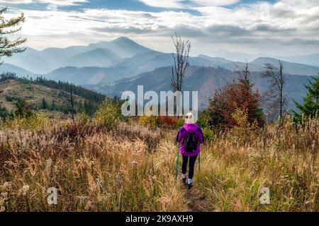 Woman with trkking poles hiking in autumn mountains. Stock Photo