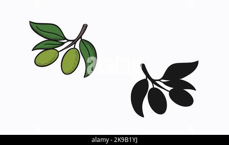 Olive fruit icon, outline with color fill style vector illustration, green and black fruit on branch Stock Vector