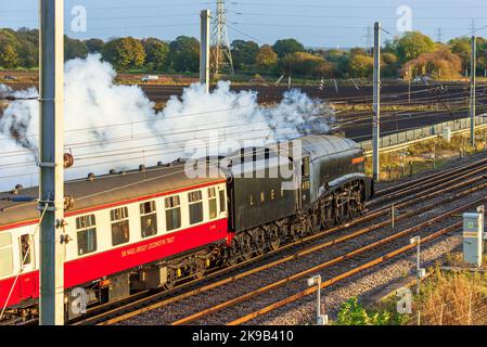 Sir Nigel Gresley steam locomotive heading south on the West Coast main line at Winwick. Stock Photo