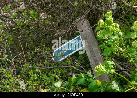 Directional arrow footpath sign pointing to the left mounted on a wooden post with brambles and undergrowth in the background Stock Photo