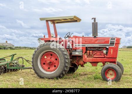 Red International 1066 farm tractor Stock Photo